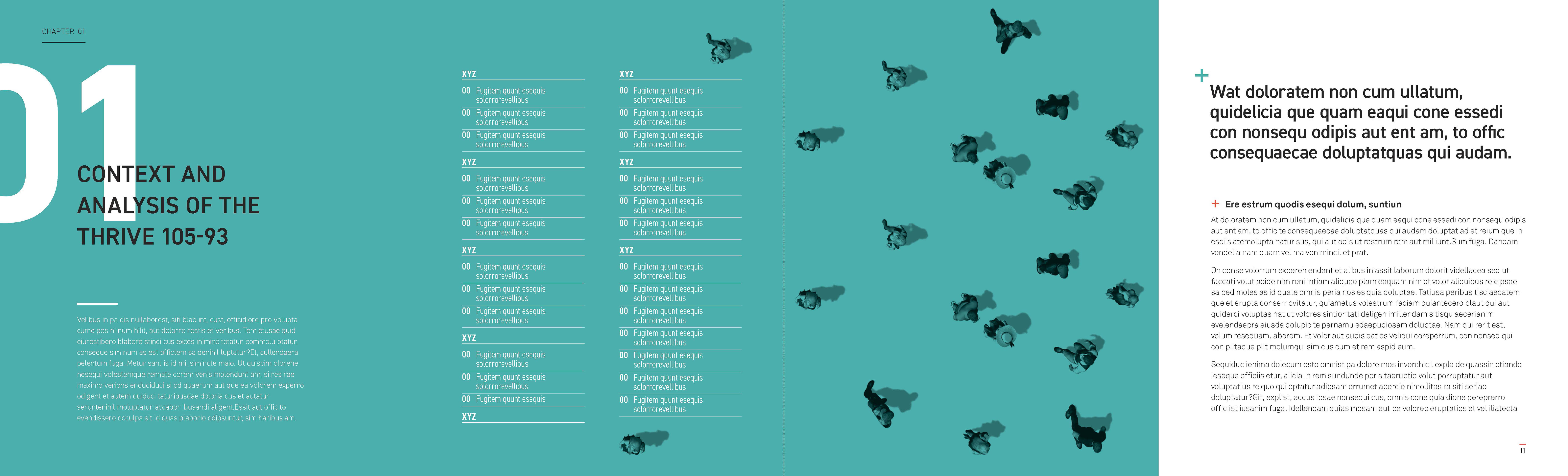 Pullup Banner with Photo